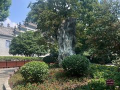 -习家池