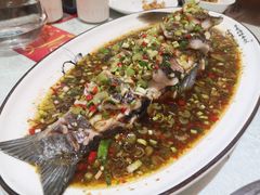 鲜椒草鱼-蜀竹情酒楼(北营房店)