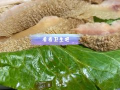 何记牛肚-明何记涮牛肚(品牌首店隋唐植物园南门古城路店)