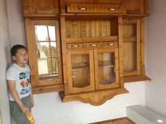 -金山农民画村-枫泾波兰倒置屋