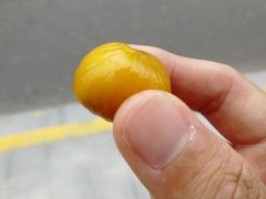 -好好栗子店(海宁总店)
