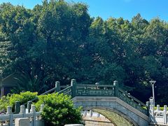 -荔湾湖公园