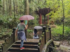 -凤栖山