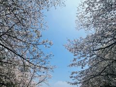 -杭州少年儿童公园