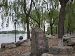 -石家庄市植物园