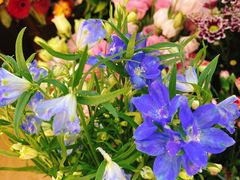 -森野花艺培训·企业团建活动沙龙