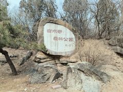 -白水寺森林公园
