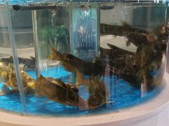 -小平岛開海水饺(浑南店)