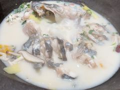 -鲜潭蒸汽石锅鱼(五道口购物中心店)
