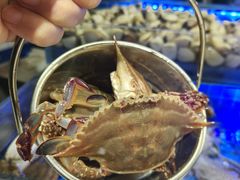 -四囍码头海鲜烧烤自助火锅(外滩南京东路悦荟广场店)