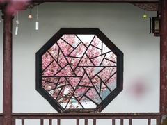 -莫愁湖公园