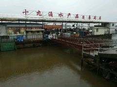 -大湾区中央湿地公园-十九涌