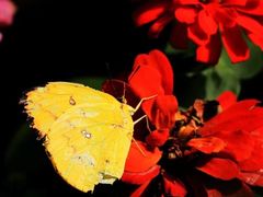 -西湖风景区-江洋畈生态公园