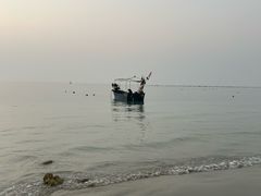 -贝壳沙滩
