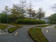 -福田红树林生态公园