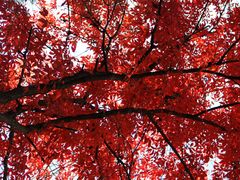 -本溪老边沟风景区