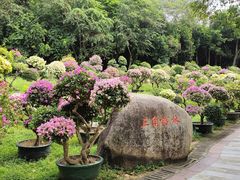 -三亚蜈支洲岛旅游区