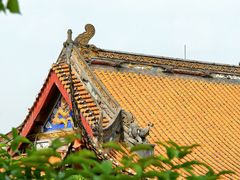 -铁山坪森林公园