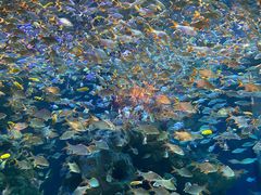 -成都浩海立方海洋公园