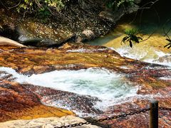 -广州白江湖森林公园