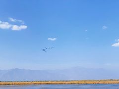 -野鸭湖国家湿地公园