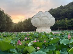 -横山寺