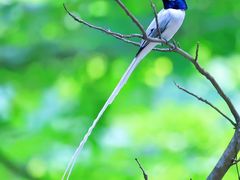 -桤木河湿地公园