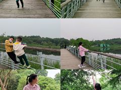 -西湖风景区-江洋畈生态公园