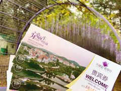 -大塘金香草谷