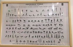 点击看大图 -FineYoga梵音瑜伽·普拉提