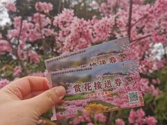 -灵光寺