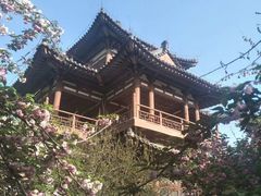 -西安青龙寺遗址景区