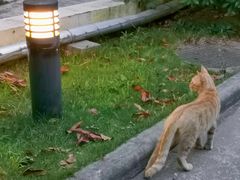 -南京中医药大学(仙林校区)