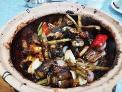 生啫金边花鳝-天宝食坊·啫啫煲大排档(西华路店)