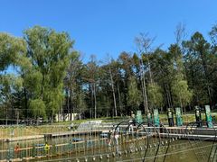 -沈阳植物园