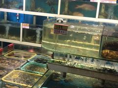 -鑫悦楼煎蟹·16年海鲜大排档