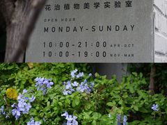 -五道营胡同