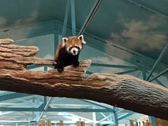 -石家庄市动物园