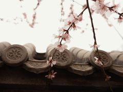 -三里河公园
