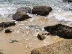 -玫瑰海岸文化旅游度假区
