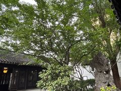 -南京市民俗博物馆(甘熙故居)