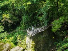-碧峰峡风景区