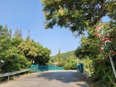 -上海佘山国家森林公园天马山园