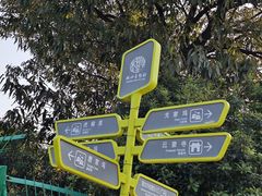 -树山生态村