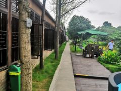 -洪湖家庭农场·团建·露营·会议