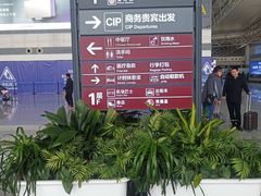 -石家庄正定国际机场-T2航站楼