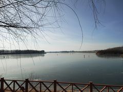 -丁香湖公园