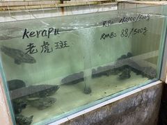 -海盗餐厅