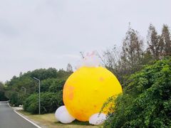 -同里国家湿地公园
