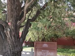 -北京市劳动人民文化宫(太庙)